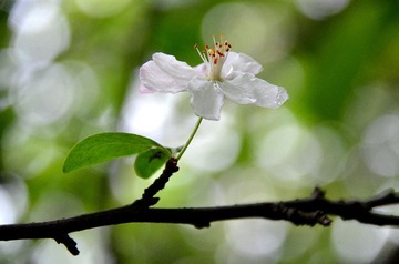 DSC_1655.jpg