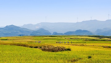 _DSC0171 拷贝 (2)