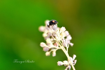 20171016-_DSC5654