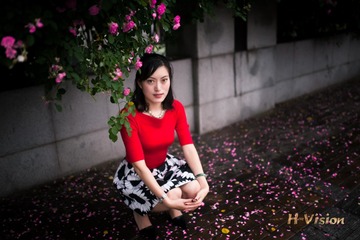 落花残红蔷薇香