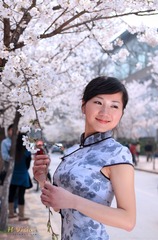 樱花时节