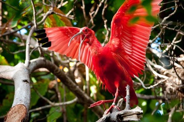 DSC_2267.jpg