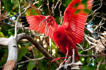 DSC_2267.jpg