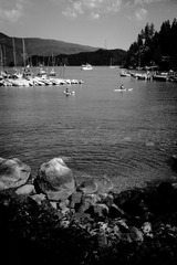 L1001184.jpg
