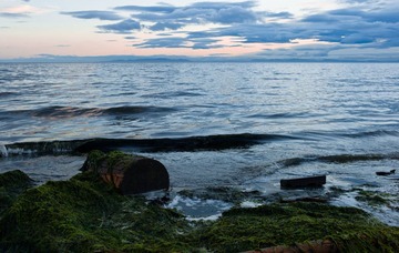 L1001613.jpg