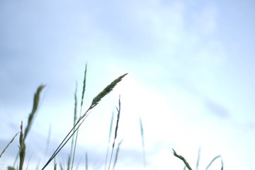 L1001627.jpg