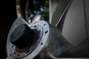 L1002030.jpg