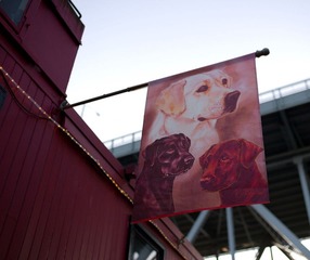 L1002065.jpg