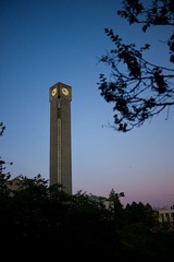 L1002305.jpg
