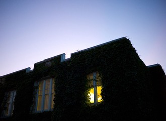 L1002340.jpg