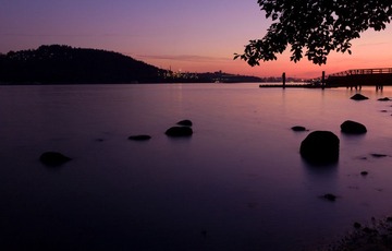 L1002645.jpg