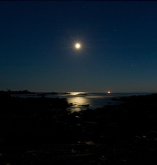 L1004406.jpg
