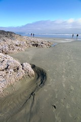 L1004538 - 副本.jpg