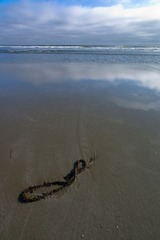 L1004561 - 副本.jpg