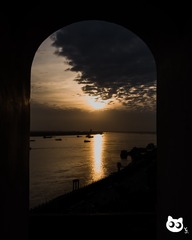 1 (4)