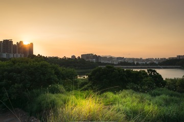 民治水库S (4)