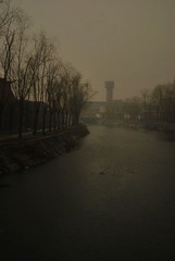 DSC_0289.jpg