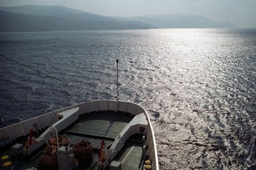 IMG101973.jpg