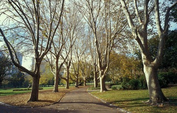 IMG0099.jpg