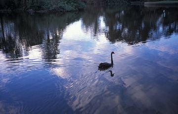 IMG0122.jpg