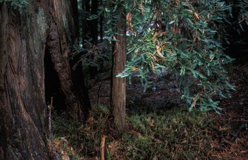 IMG0883.jpg