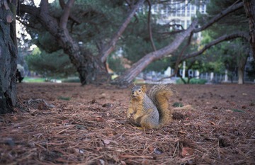 IMG0902.jpg
