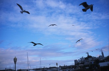 IMG0905.jpg