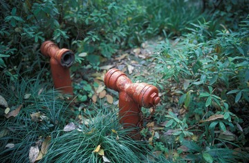 IMG0957.jpg