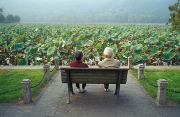 IMG100993.jpg