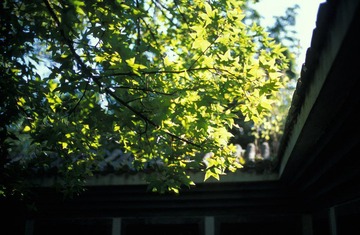 IMG102102.jpg