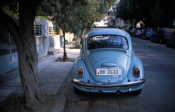 IMG102086.jpg