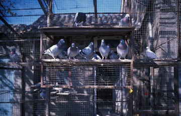 IMG102095.jpg