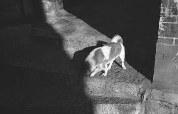 IMG102293.jpg