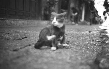 IMG102315.jpg