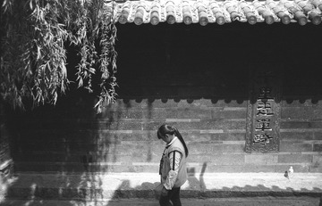 IMG102249.jpg