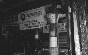 IMG102281.jpg
