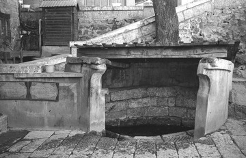 IMG102305.jpg