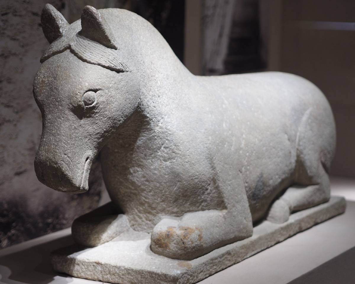 西夏石马宁夏博物馆藏