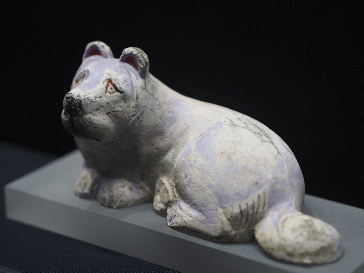 汉彩绘陶狗内蒙古博物院藏