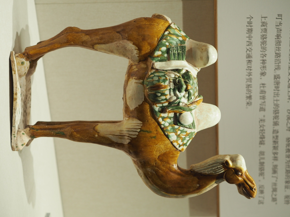 唐三彩骆驼深圳博物馆藏