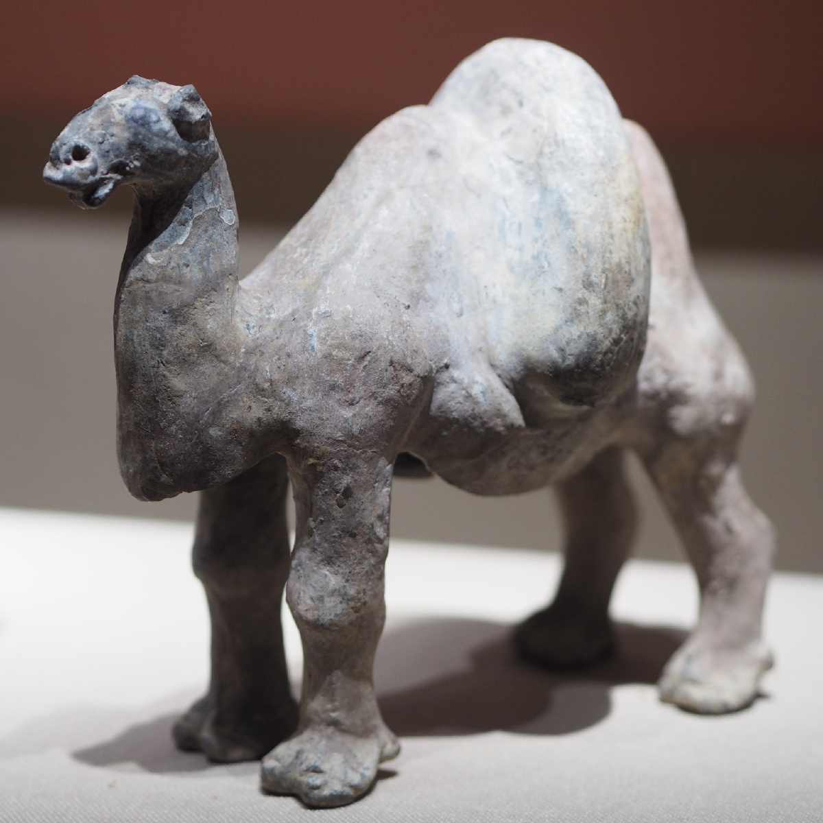 北周陶骆驼宁夏博物馆藏