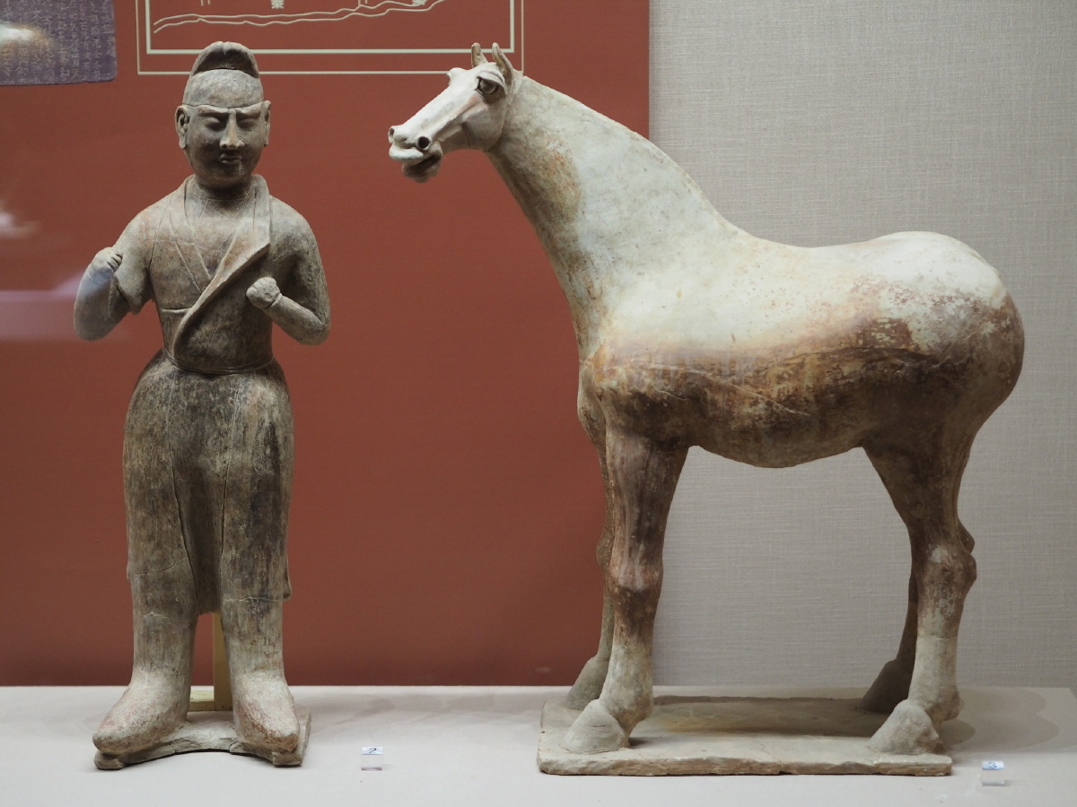 [唐] 陶马及牵马俑 宁夏文物考古研究所藏 - zs412