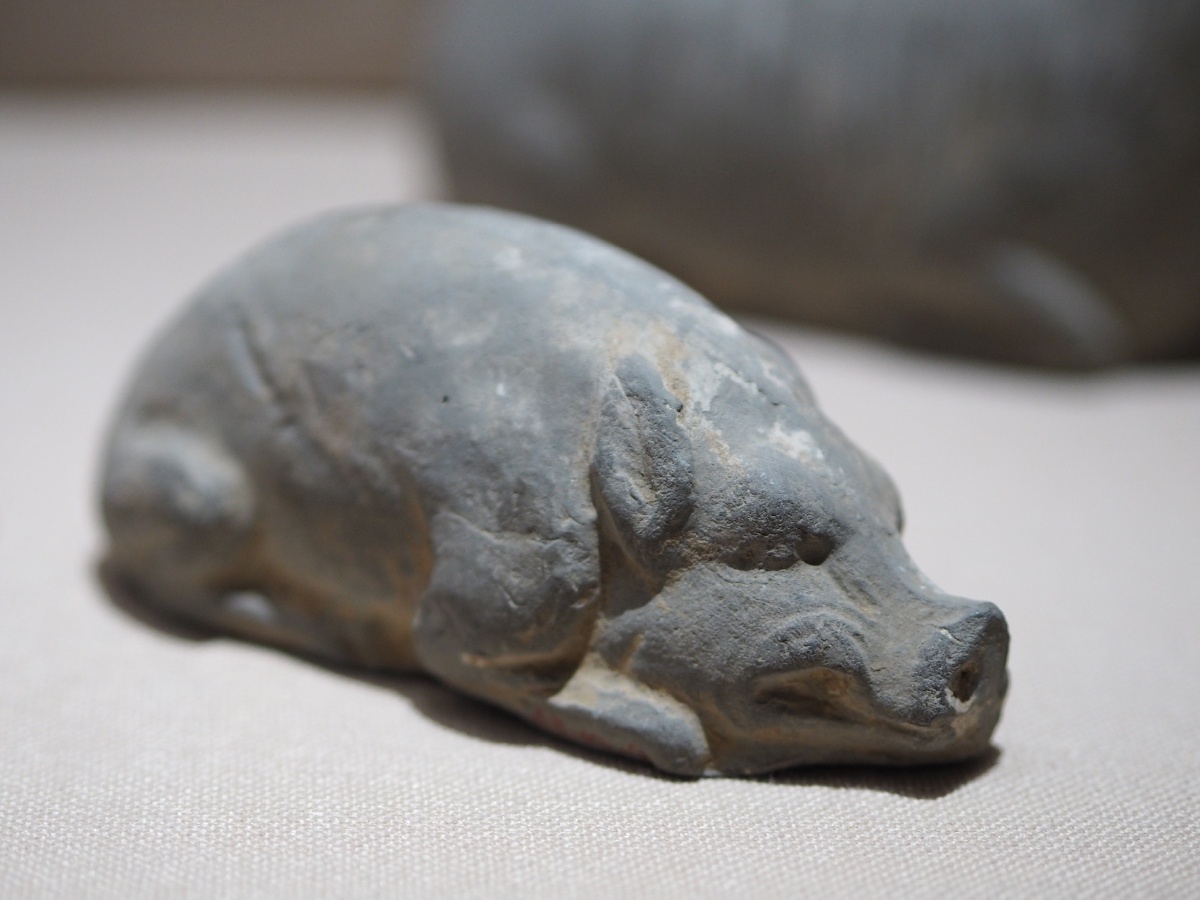 唐陶猪宁夏博物馆藏