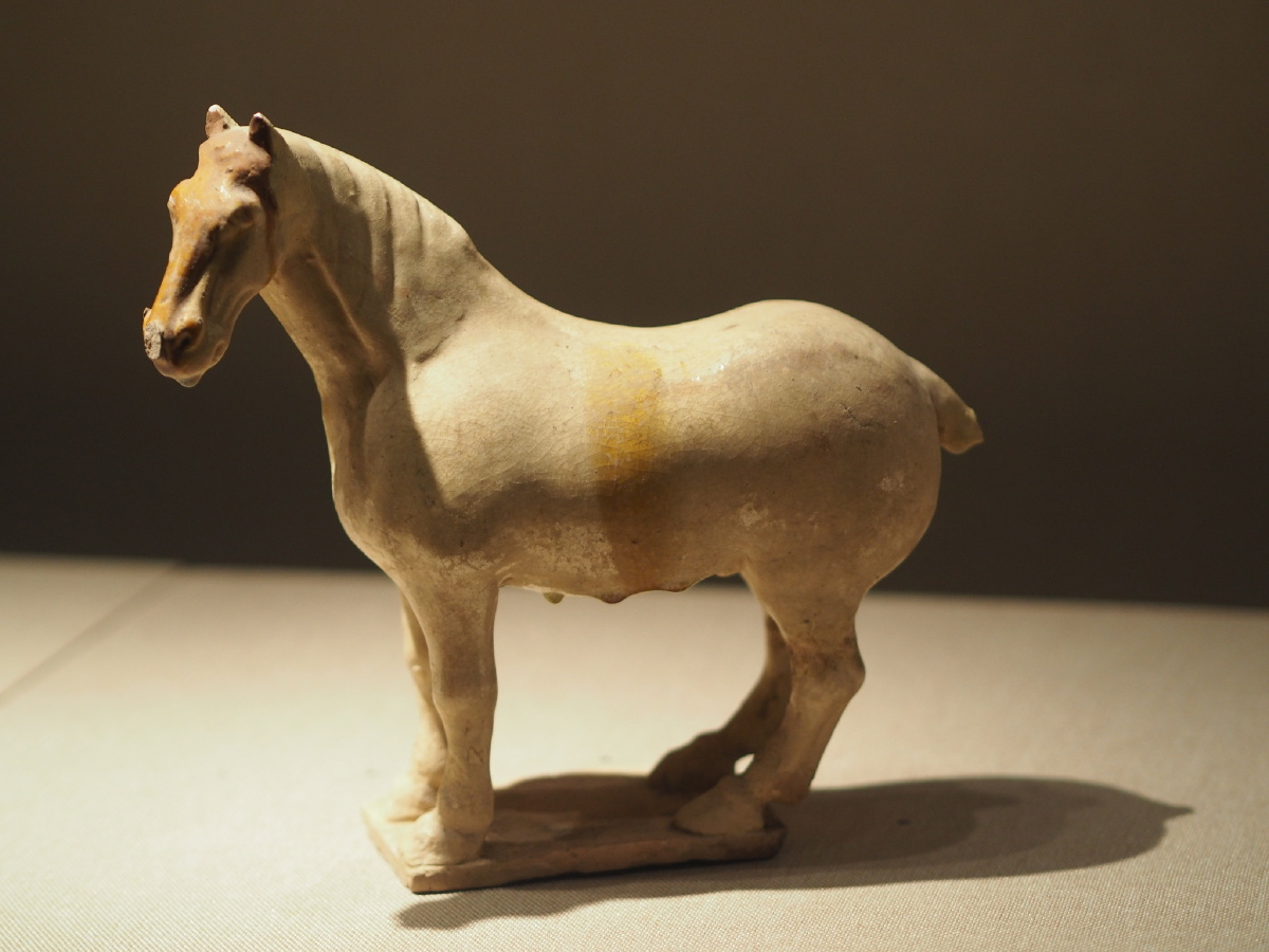 唐白釉马洛阳博物馆藏