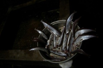 DSCN7906.jpg
