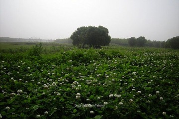 DSCN4430.jpg