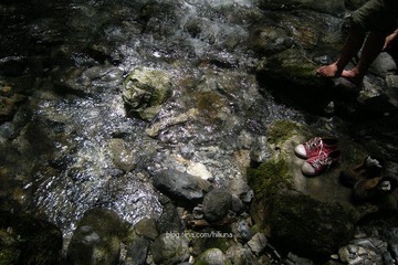 DSCN1360.jpg