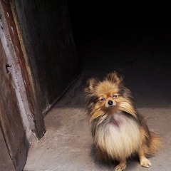 100_5922.jpg