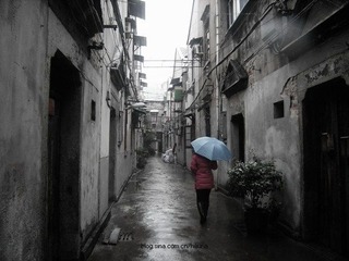 DSCN5528.jpg