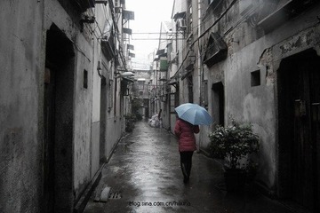DSCN5528.jpg